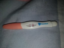 zwangerschapstest testen