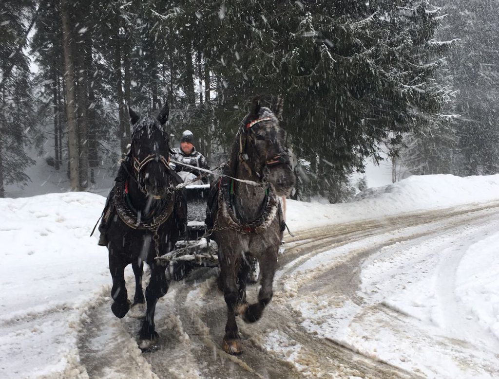 wintersport