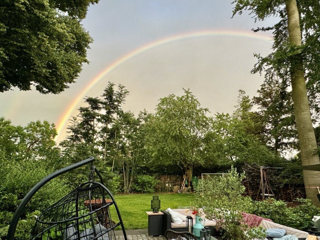 tuin, robotmaaier, zomerklaar,achtertuin, tuinieren
