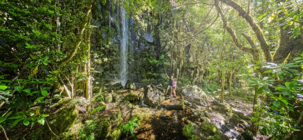 

Levada do Cedros voert door dicht begroeide bossen©Henrique Seruca
