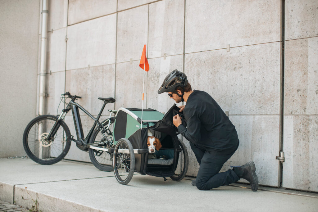 Thule Bexey, fietskar, hondenkar, honden fietskar, de beste fietskar voor honden