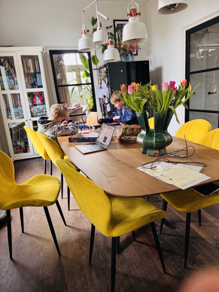 keuken, stoomreiniger, schoonmaken