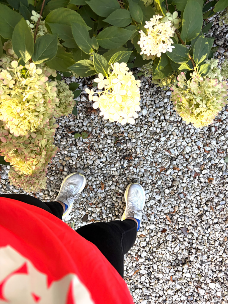 Hoka, shokz, Review HOKA Clifton 11, de bestehardloopschoen , hardloopschoenen