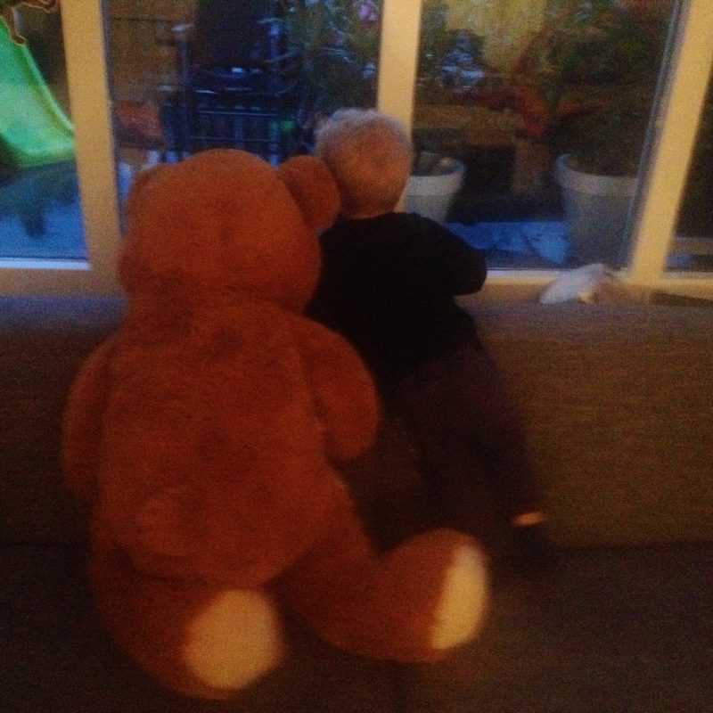 “Hug a Bear day”, Een dag om stil bij te staan, incl de vergeten kinderen