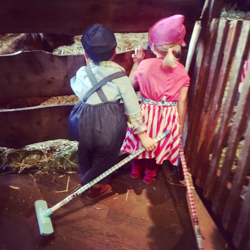 Huishoudelijke taken van 2 tot 12 jaar. Onze kinderen helpen mee