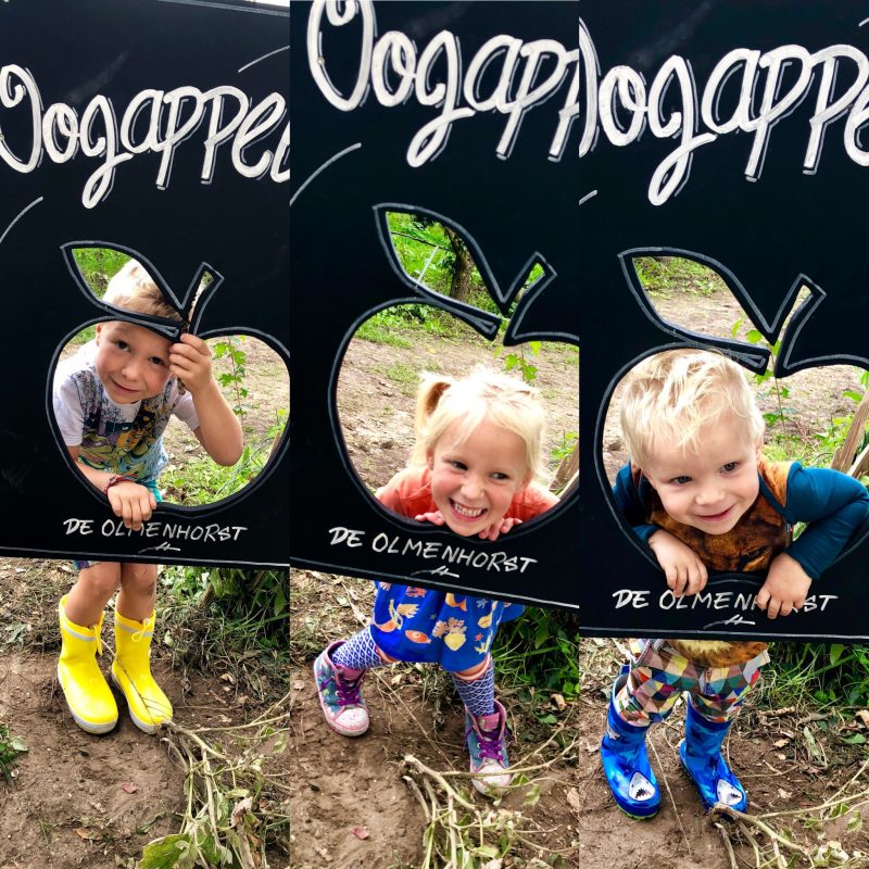 De Olmenhorst viert de 25ste editie van de Zelfpluk op het prachtige Landgoed