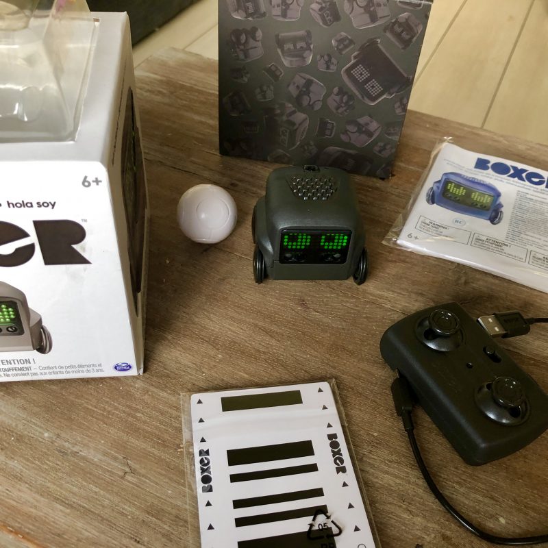 Ontmoet Boxer: een kleine, interactieve robot met een behoorlijke persoonlijkheid!