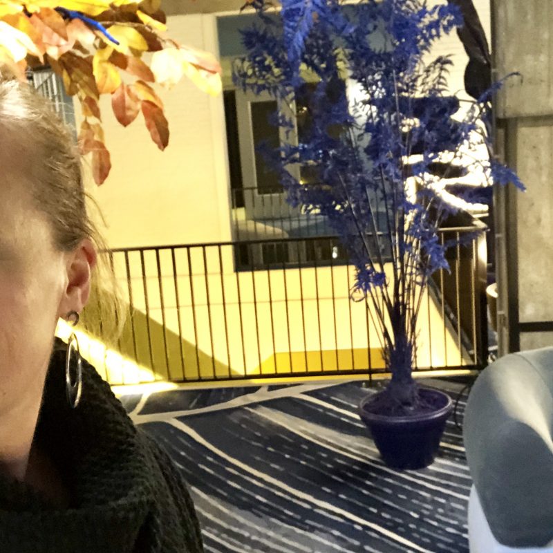 ‘Full speed’ de maand januari in met een feestelijke afsluiter