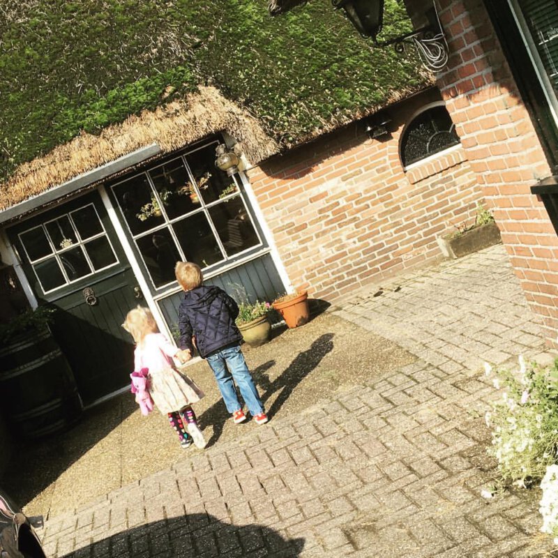 Met de terugkeer van de regenton besparen we in de tuin liters drinkwater