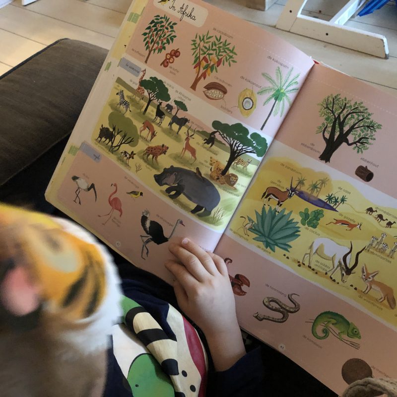 Vakantiepret begint met deze boeken van Deltas