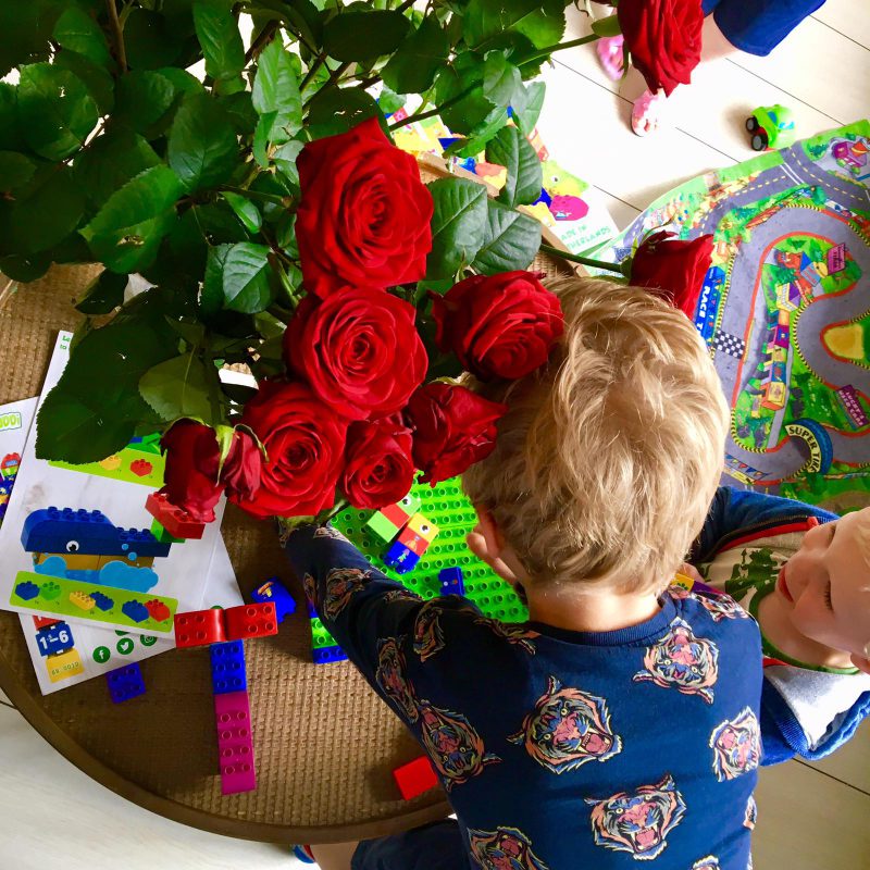 Biobuddi speelblokken voor een betere toekomst en milieuvriendelijk speelplezier