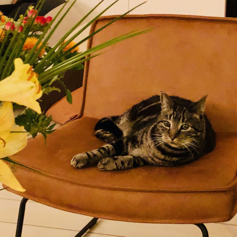 Je woning verkopen, wel of niet via de makelaar?