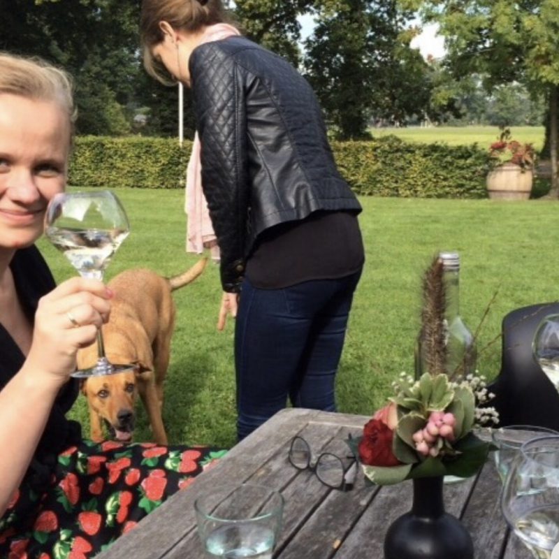 Rode Wijn, het nieuwe medicijn Alle voordelen op een rij!