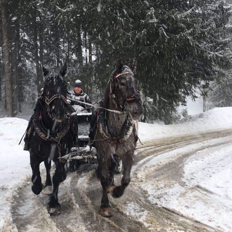 In zeven stappen klaar voor de winter, van sjaal tot chocomelk