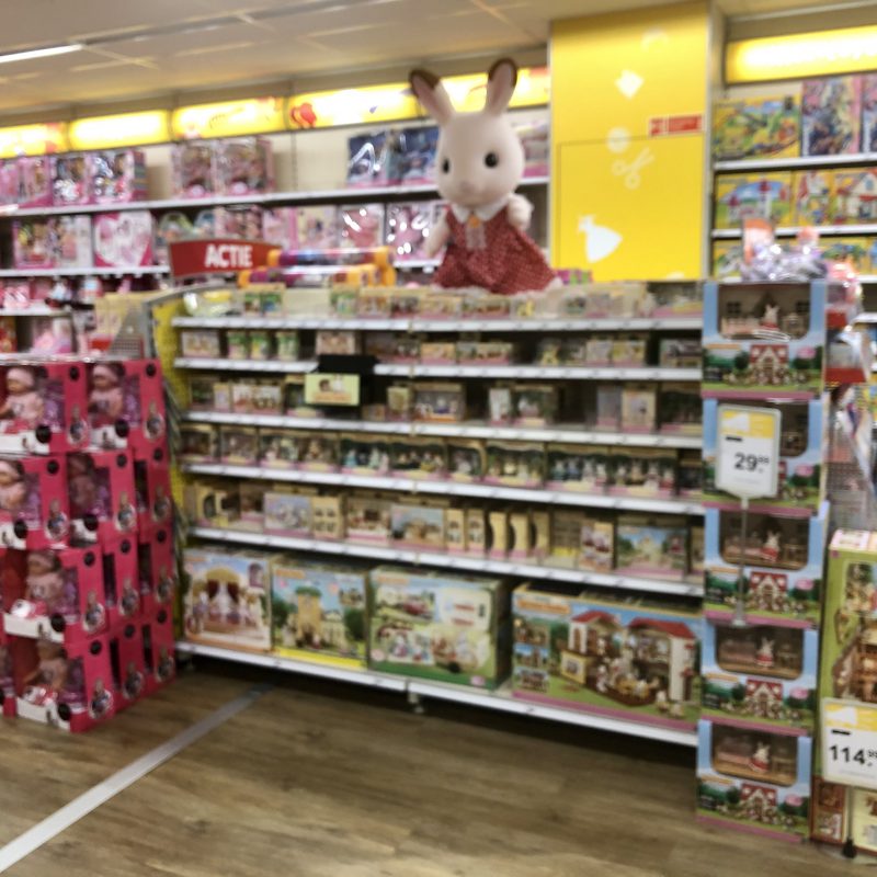 Opgaan in je fantasie met Sylvanian families