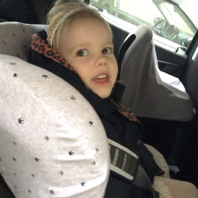 Lekker hip op de achterbank met de Dooky seat cover