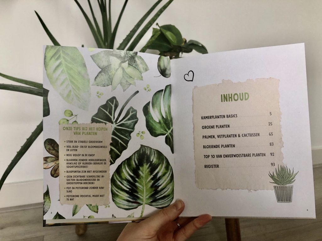 minstens uitlaat Claire Met het boek kamerplanten' tover je je huis om tot urban jungle
