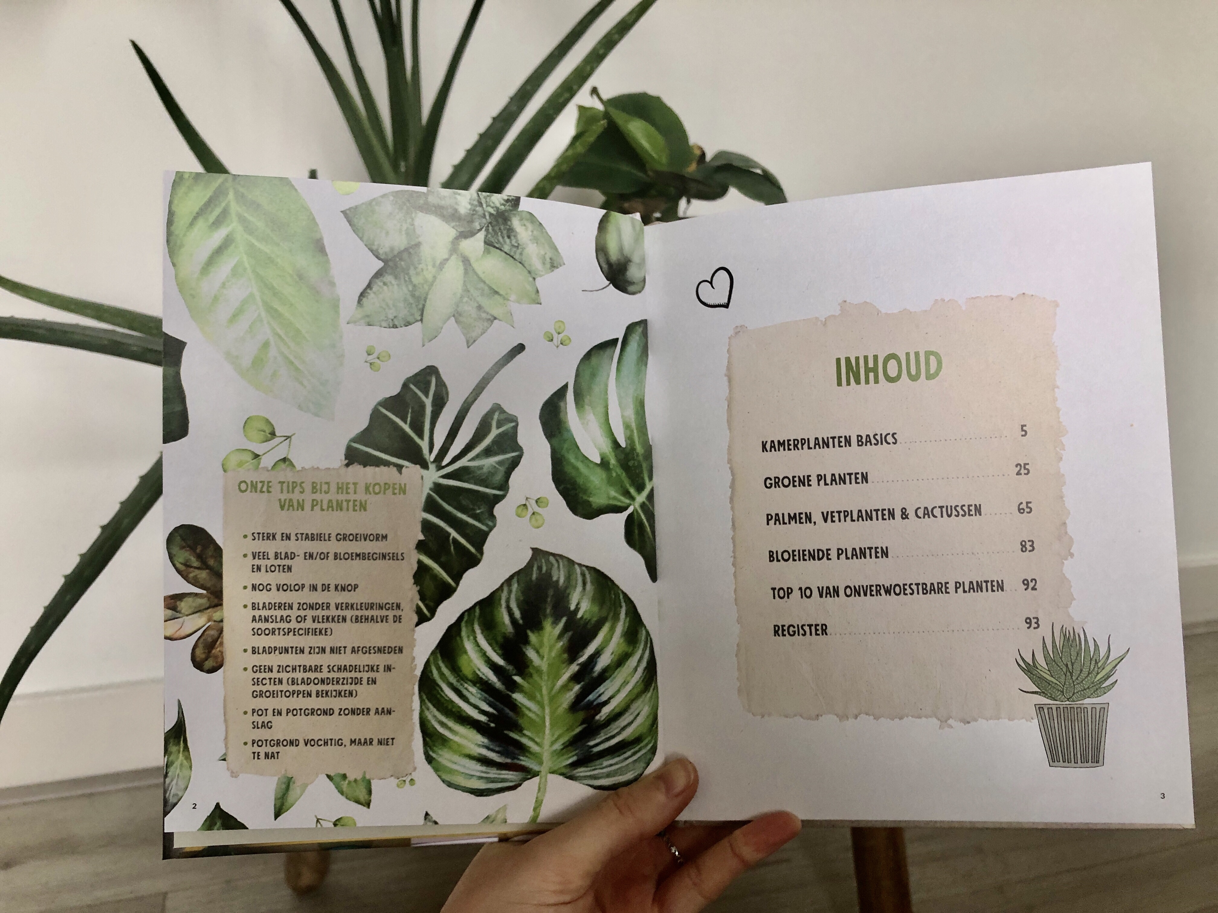 urban jungle, kamerplanten, boek