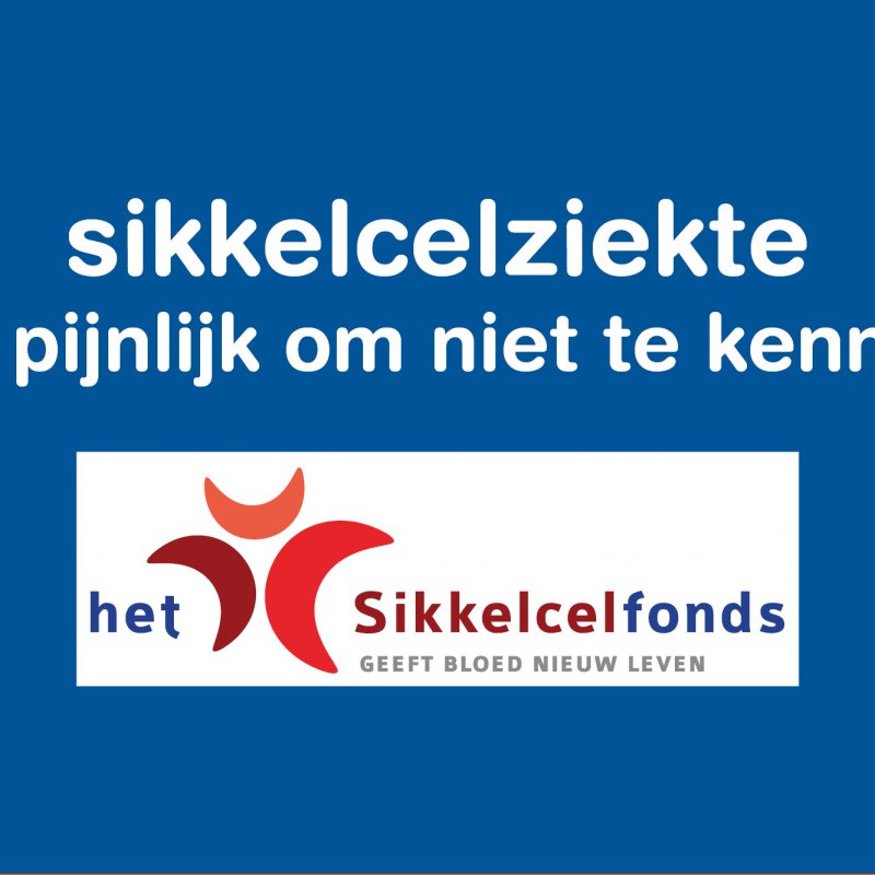 Sikkelcelziekte is te pijnlijk om niet te kennen! nijntje steunt het Sikkelcelfonds