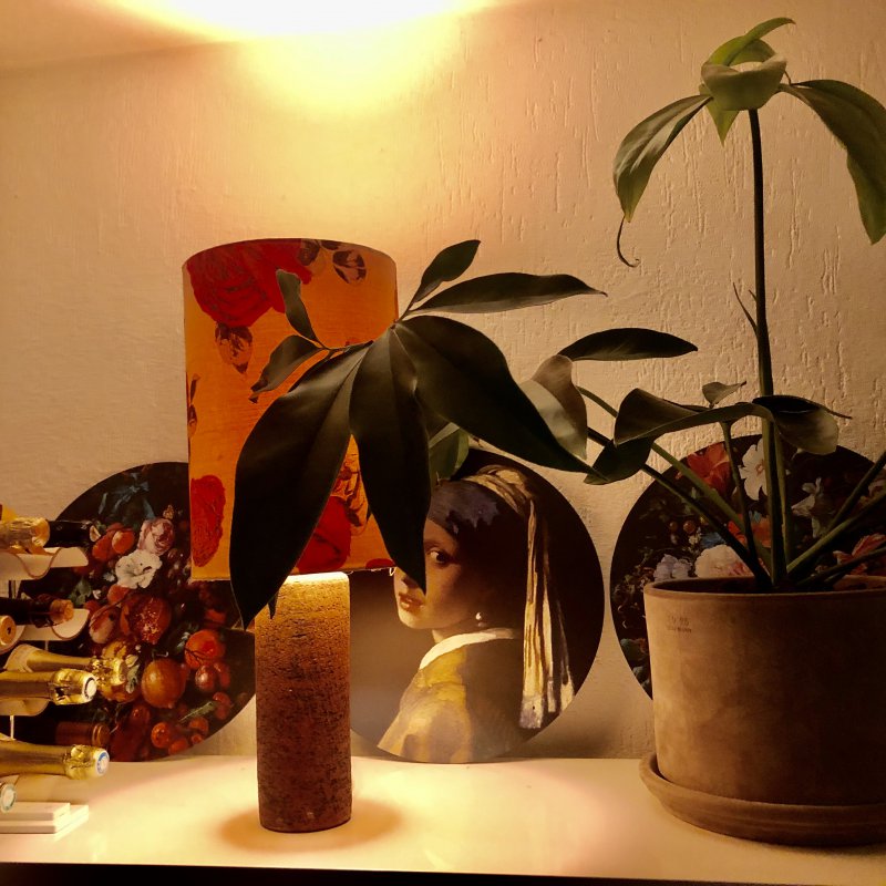 Kunst aan de muren met toffe aluminium wandcirkels