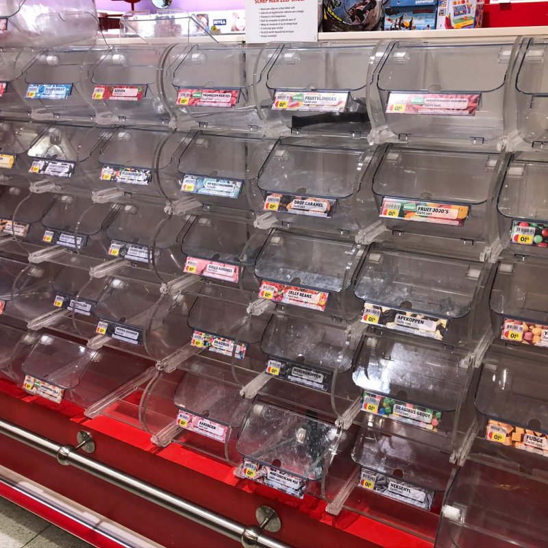 Hamsteren: waarom het niet zo vreemd is