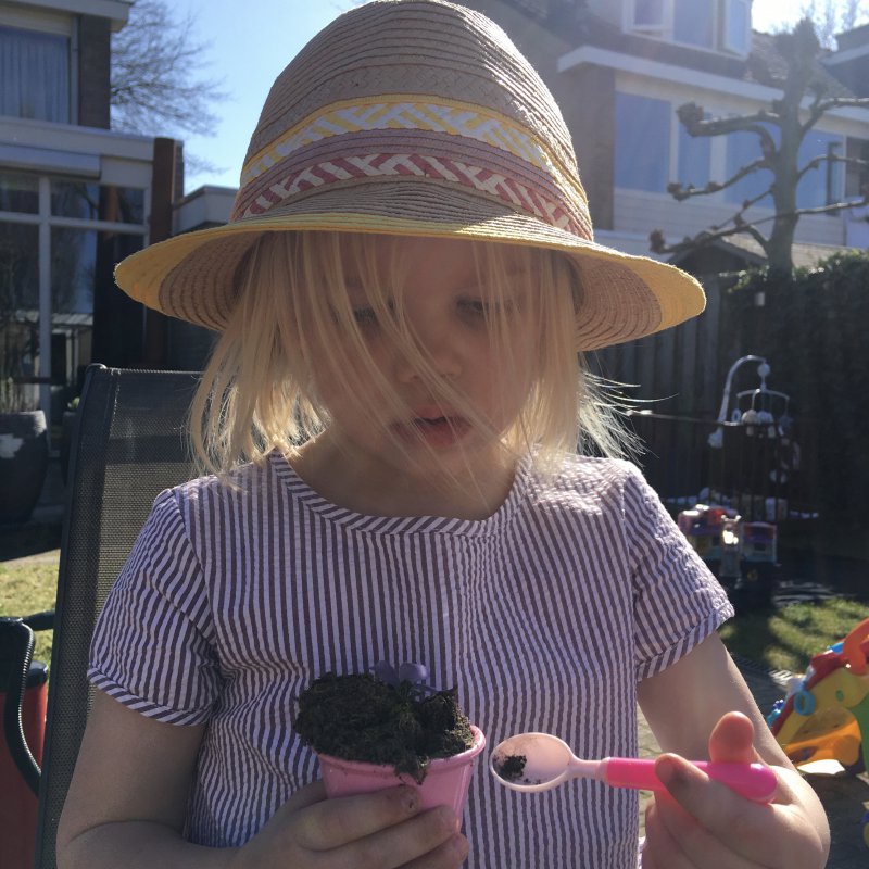 Zomer, zwembad en een BBQ  Creëer het ultieme vakantiegevoel in je eigen tuin.