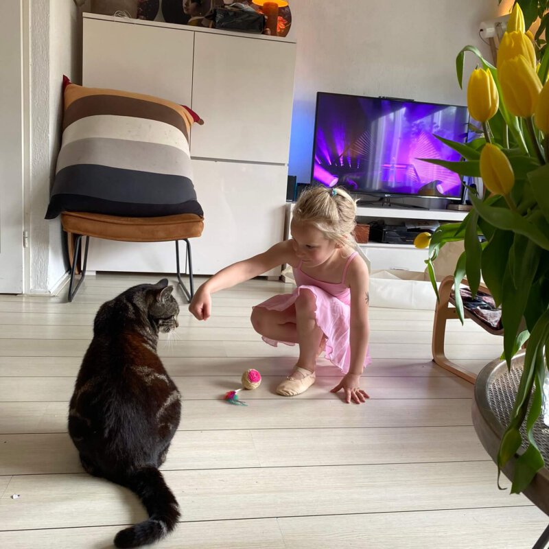 Een klein dier, een grote verandering in huis