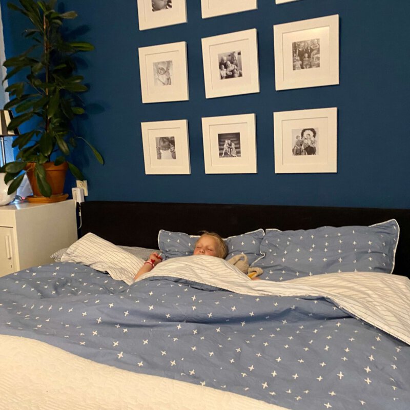 Goede nachtrust met horren voor je ramen en deuren&nbsp;