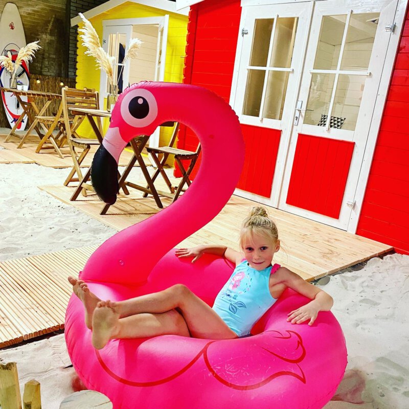 Overdekt kamperen in Amsterdam in een retro caravan, strandhuisje of vintage Pipowagen