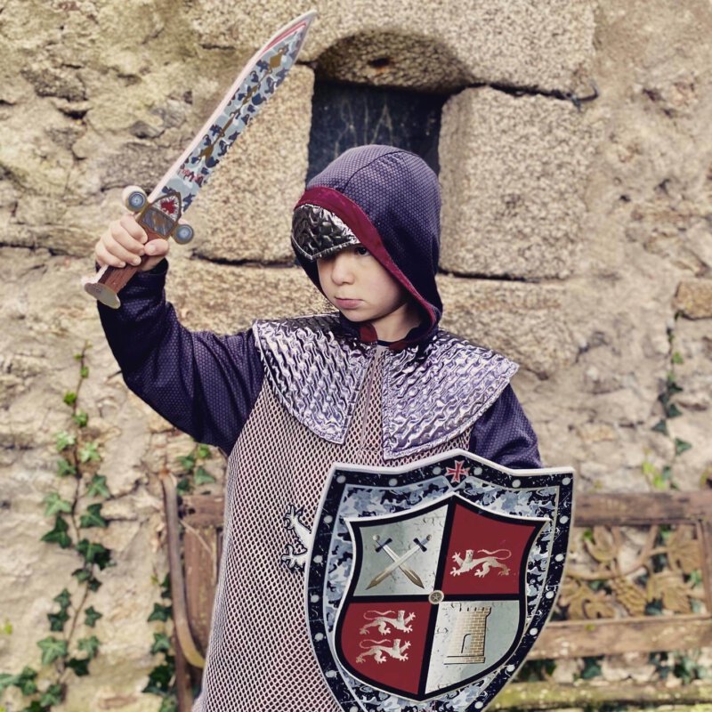 Themapark Puy du Fou zorgt al 45 jaar voor hoogstaand vertier, met nu nog meer nieuwigheden