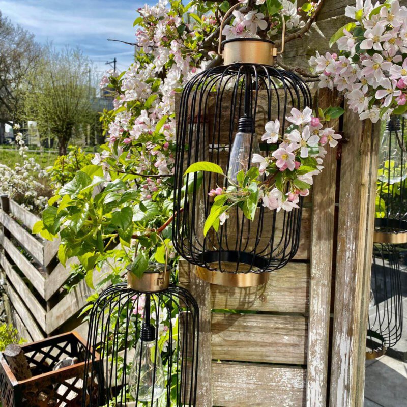 Zo maak je het meeste van de zonnige plekjes in je tuin