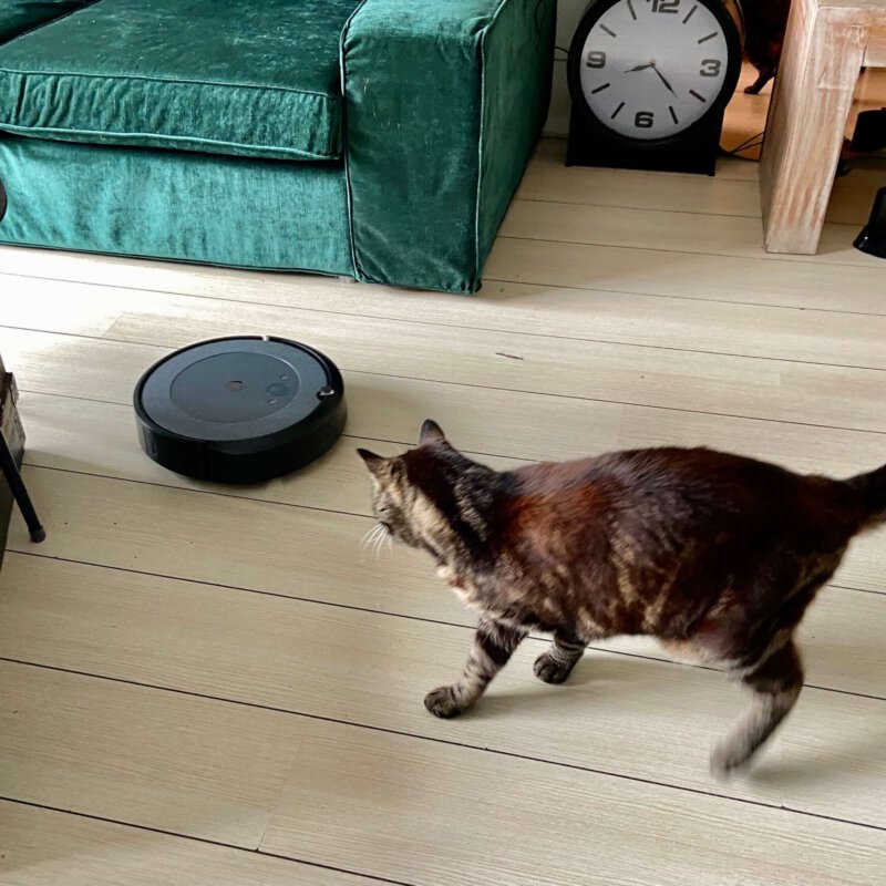 Ook wij wandelen het liefst in de lente terwijl onze iRobot tevreden op ons  wacht