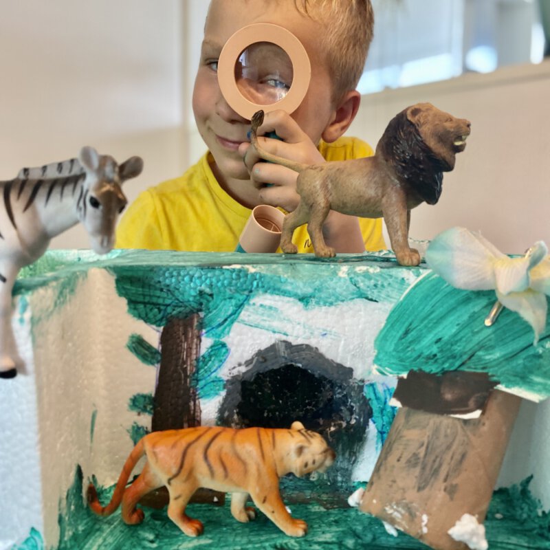 De ultieme jungle kamer tips voor échte avonturiers