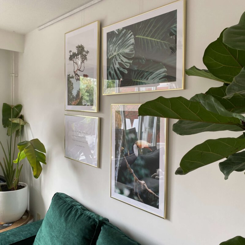 Jungle posters voor de jungle kamer van onze avonturier
