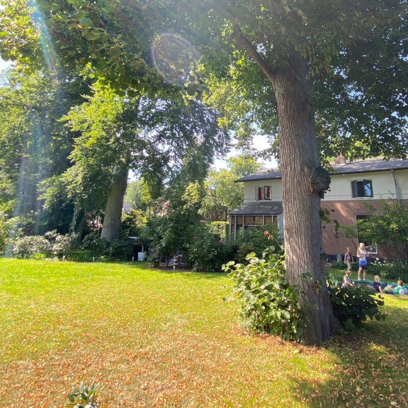 Buitenspelen is gezond en vooral leuk: De populairste 5 tuintrends van dit moment uiteengezet,