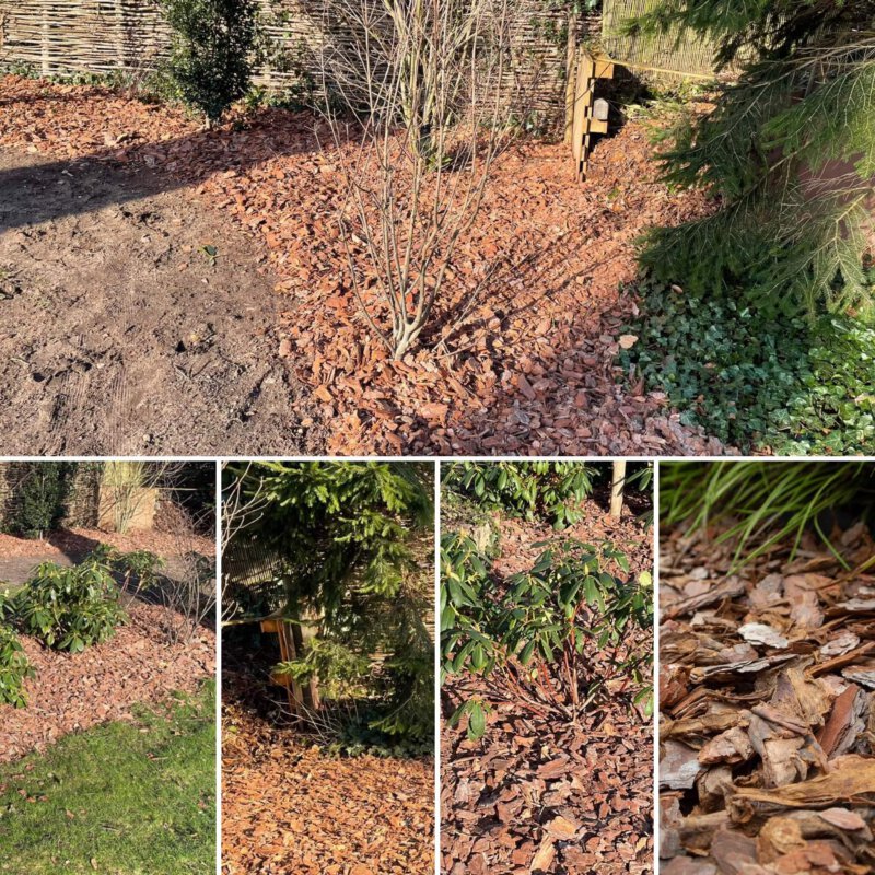 Boomschors, de ideale, natuurlijke bodembedekkers voor tuin en terras