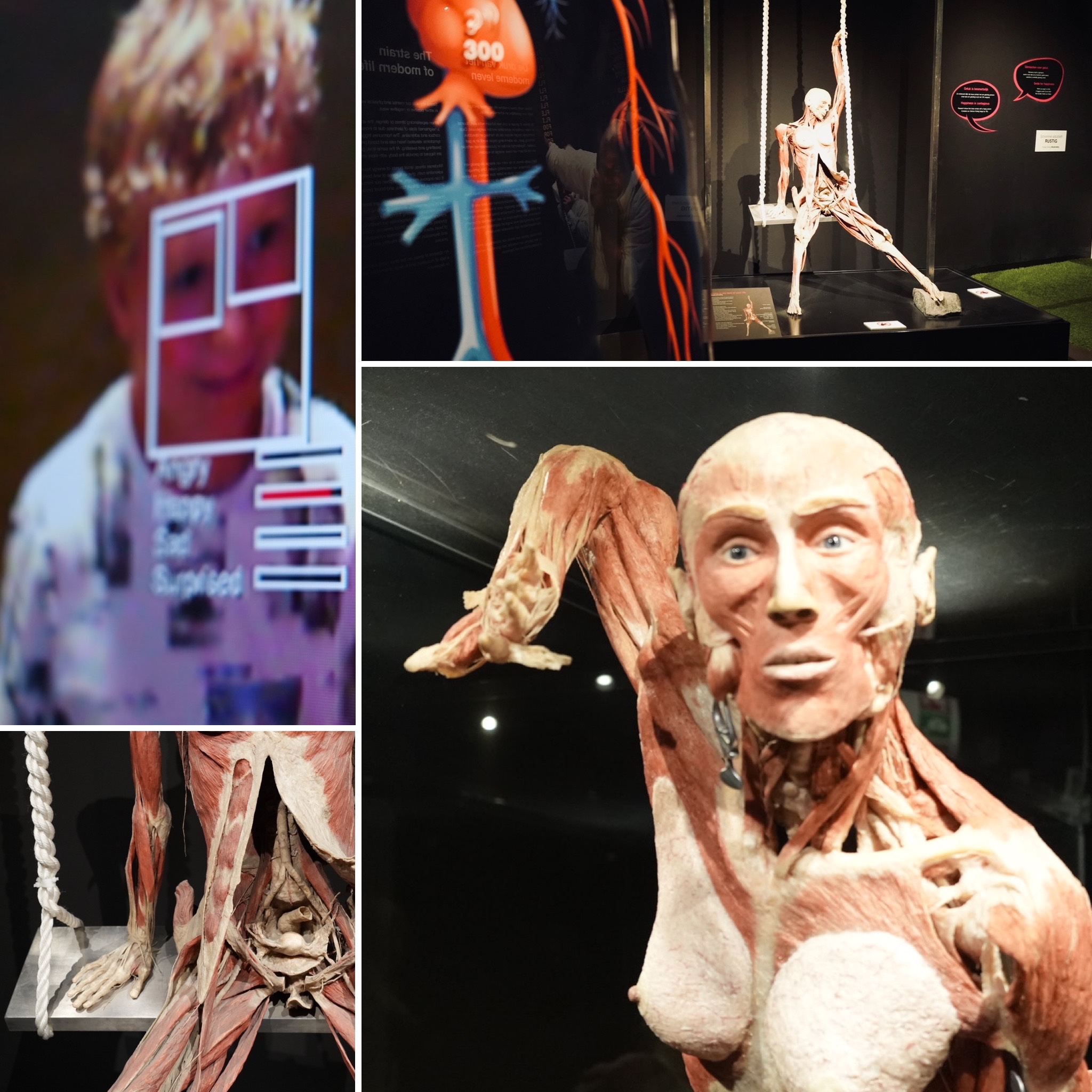 BODY WORLDS: THE HAPPINESS PROJECT
