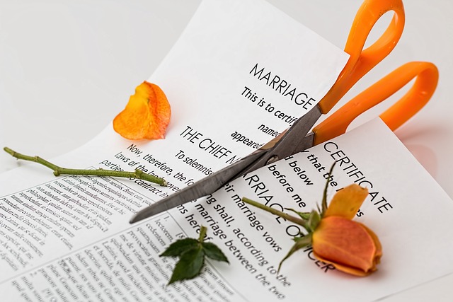 scheiding, van scheiden komt lijden, echtscheiding