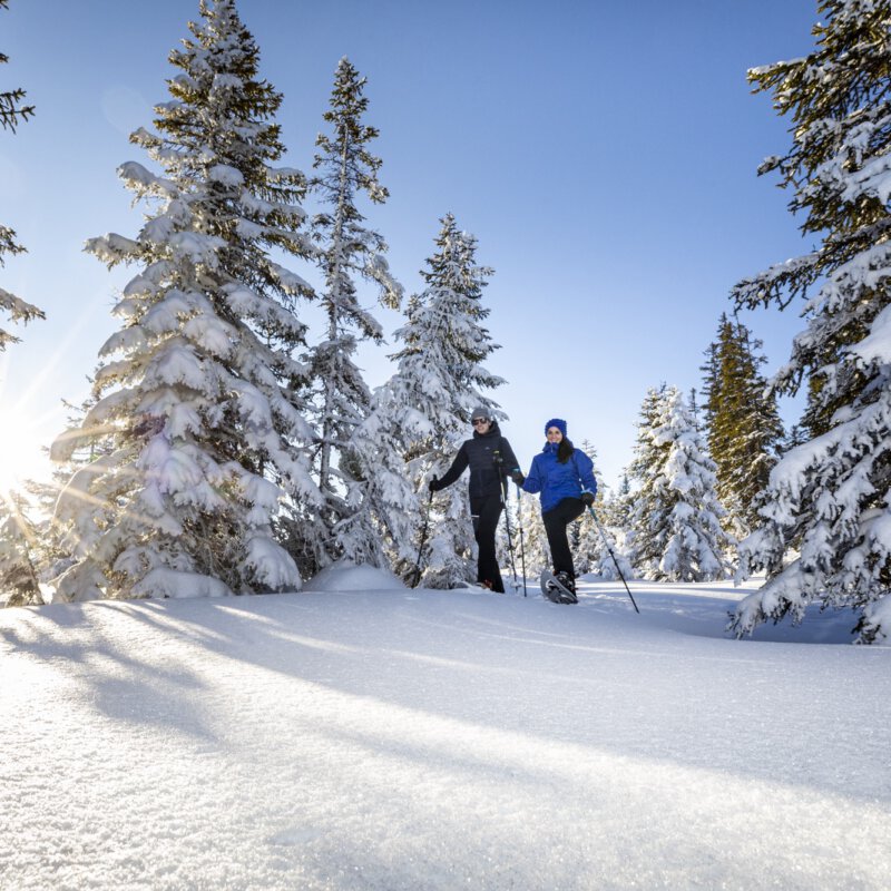 Snowworld amsterdam winteropening: een perfect begin van het skiseizoen!