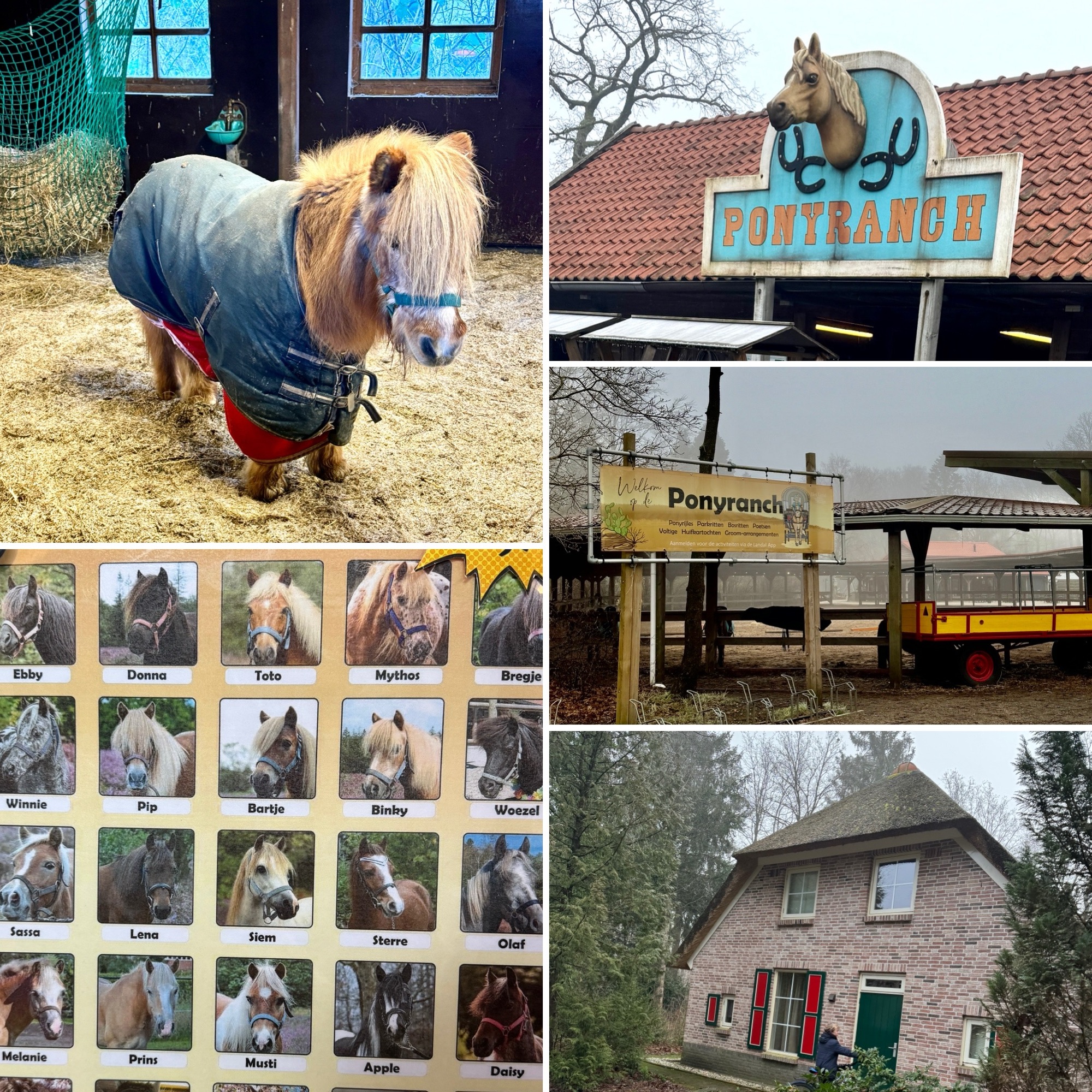 Landal, ontdeklandal, het land van bartje, Drenthe , familie vakantie, hunebedden, ponyranch, pony 