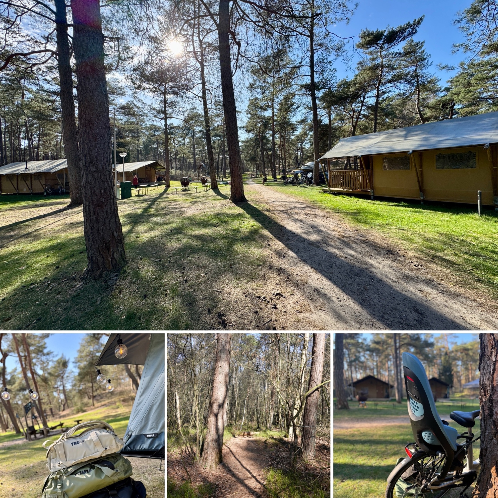 landal, thule, coldenhove review