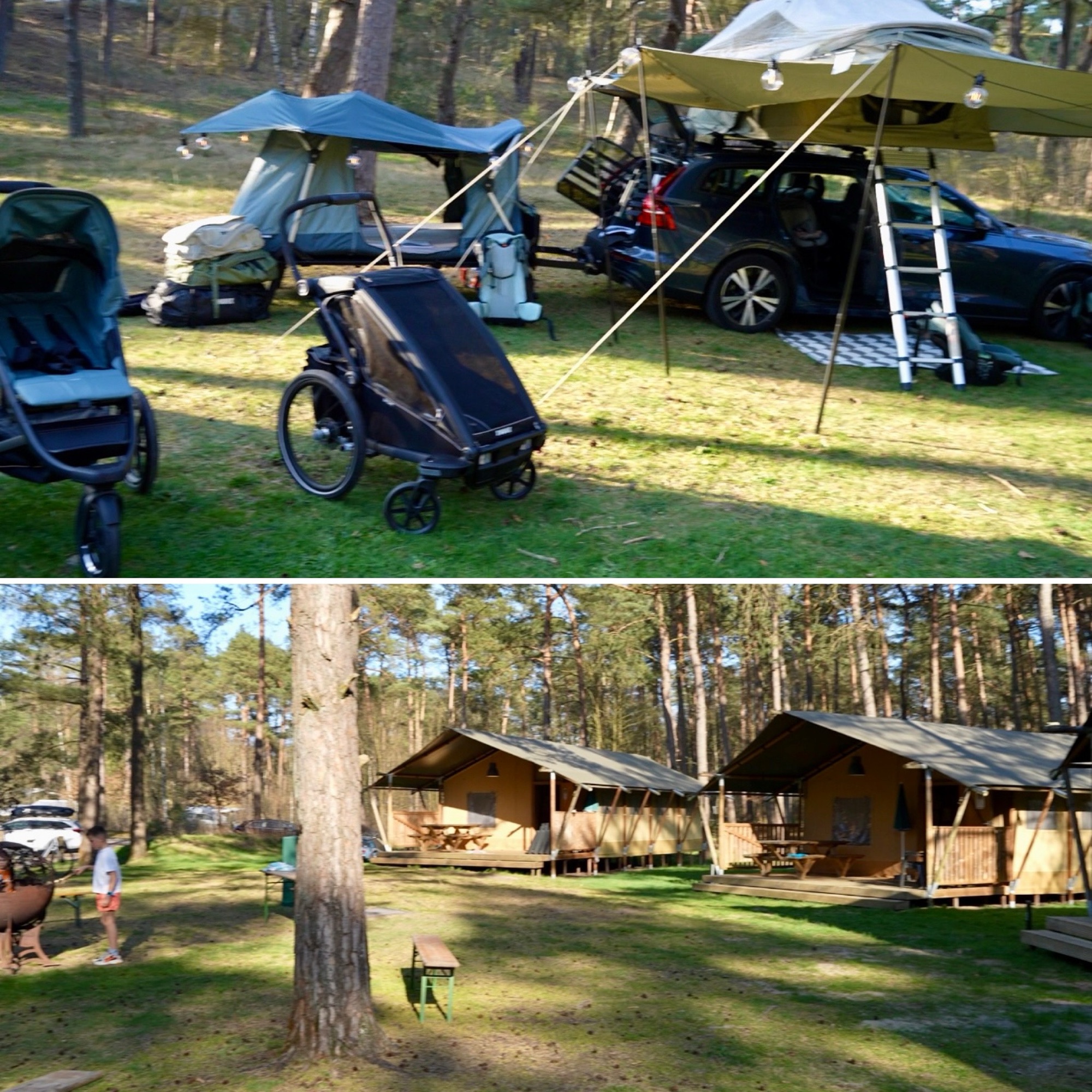 glamping, coldenhove, Landal, Veluwe
