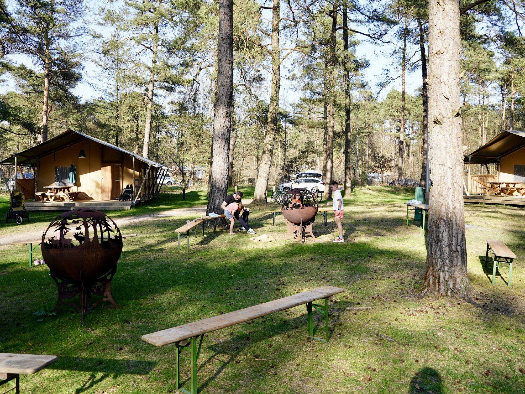 Glamping safaritentren Landal Coldenhove