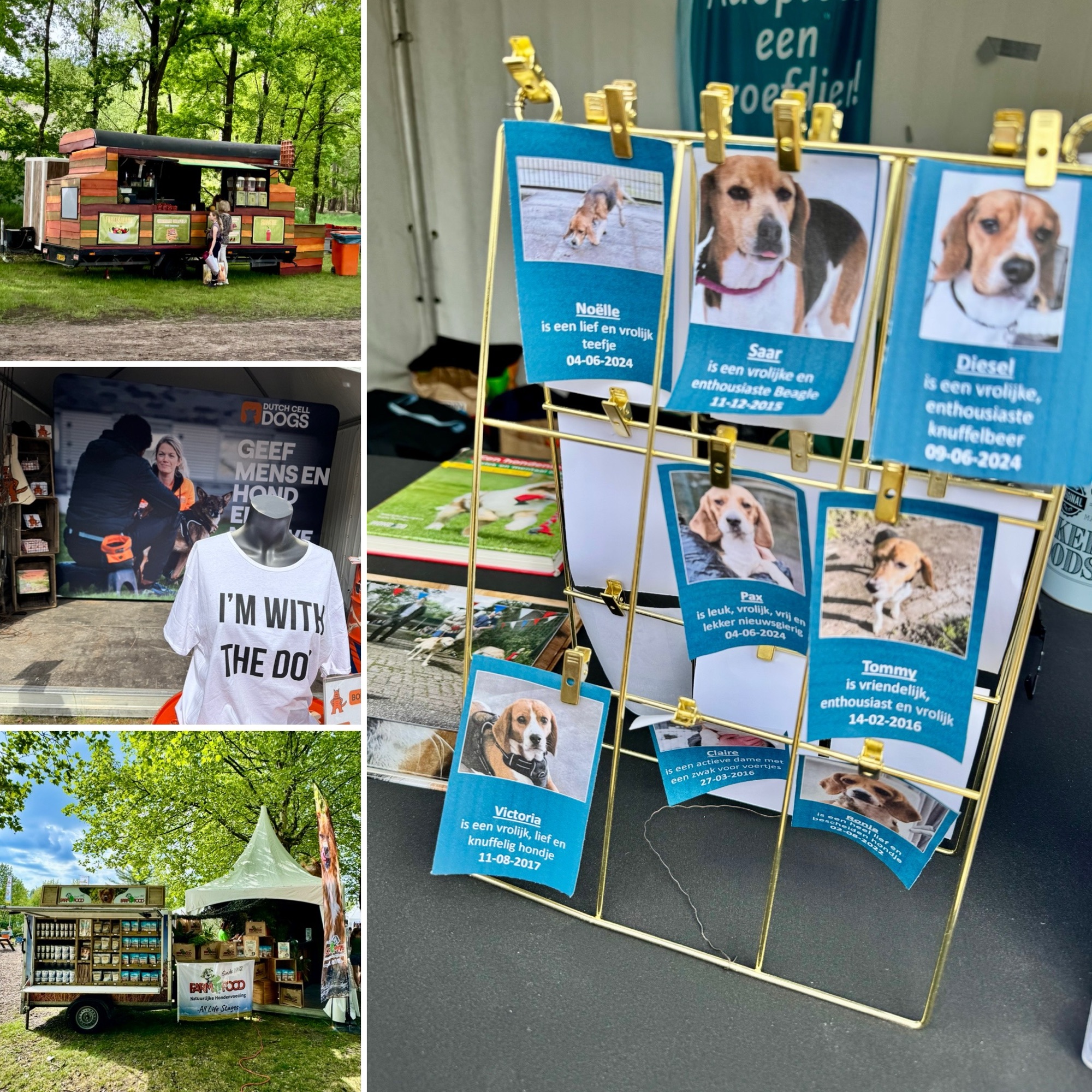 Animal event, Hilvarenbeek, Beekse Bergen