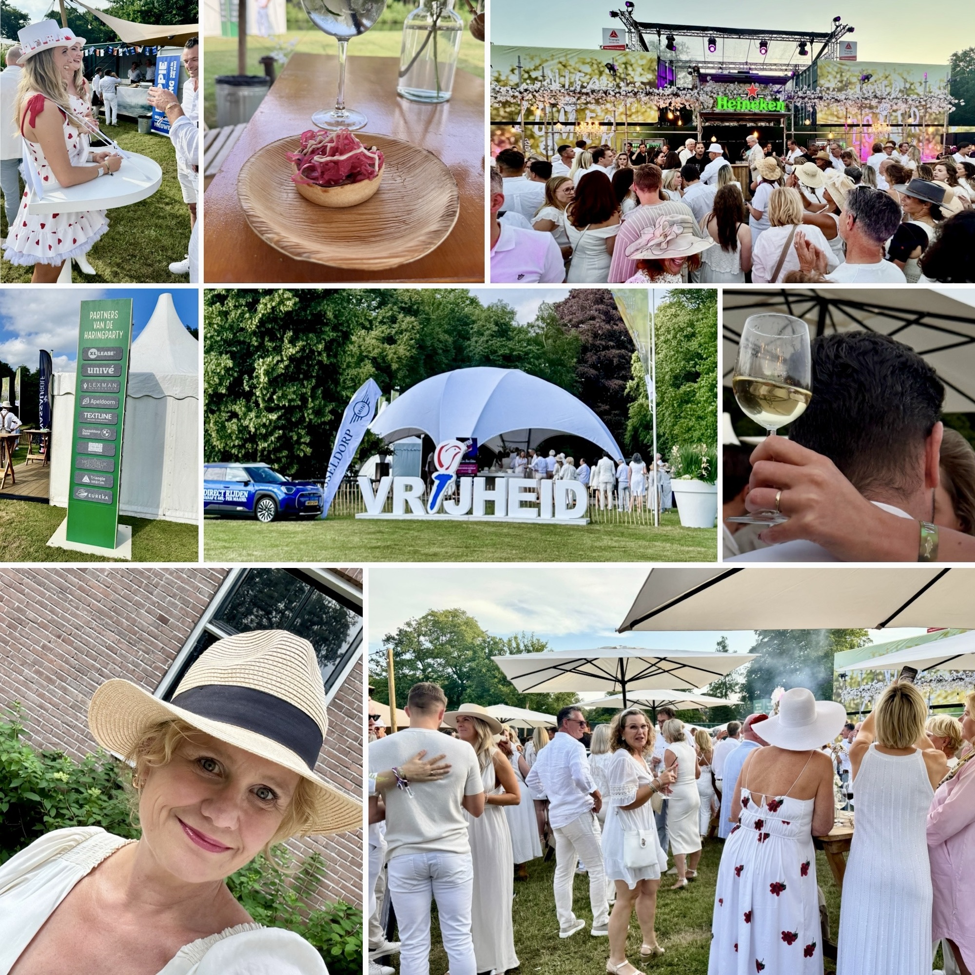 haring, haring party, Apeldoorn, evenement, Marialust, de parken