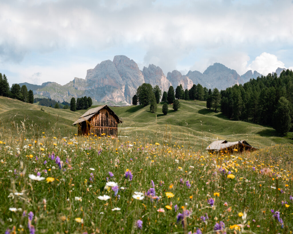 mountainbiken, fietsen, bergen, val gardena, hiken