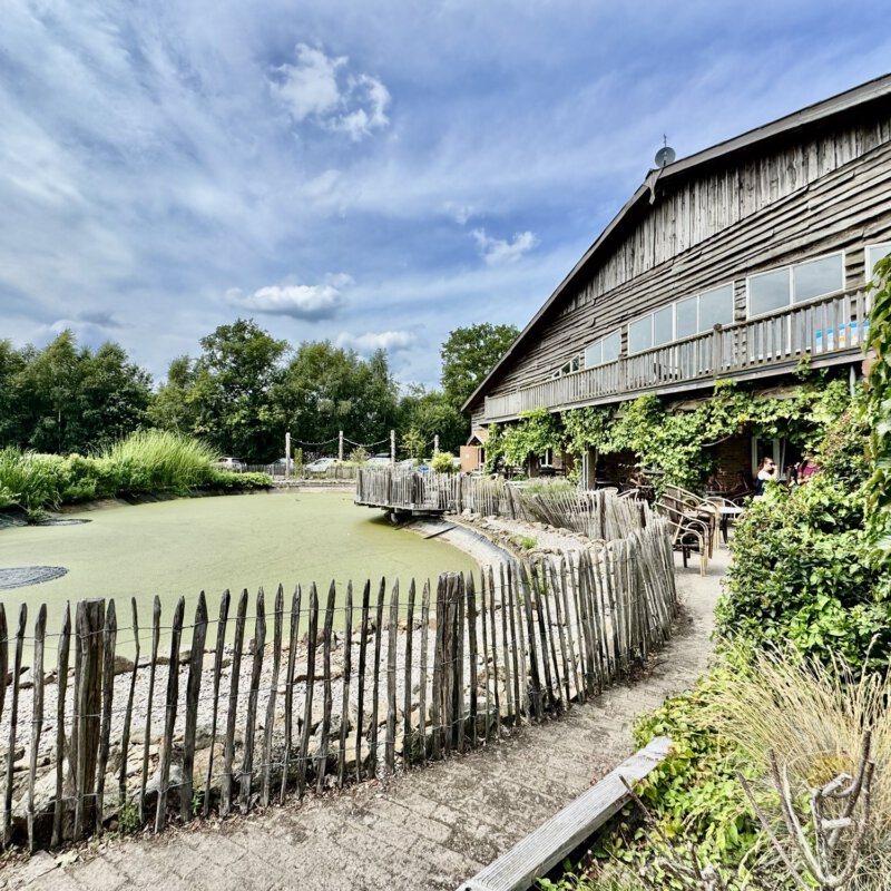 Review: Survivalkamp bij Klein Oever in Balkbrug – Buiten spelen zoals het bedoeld is
