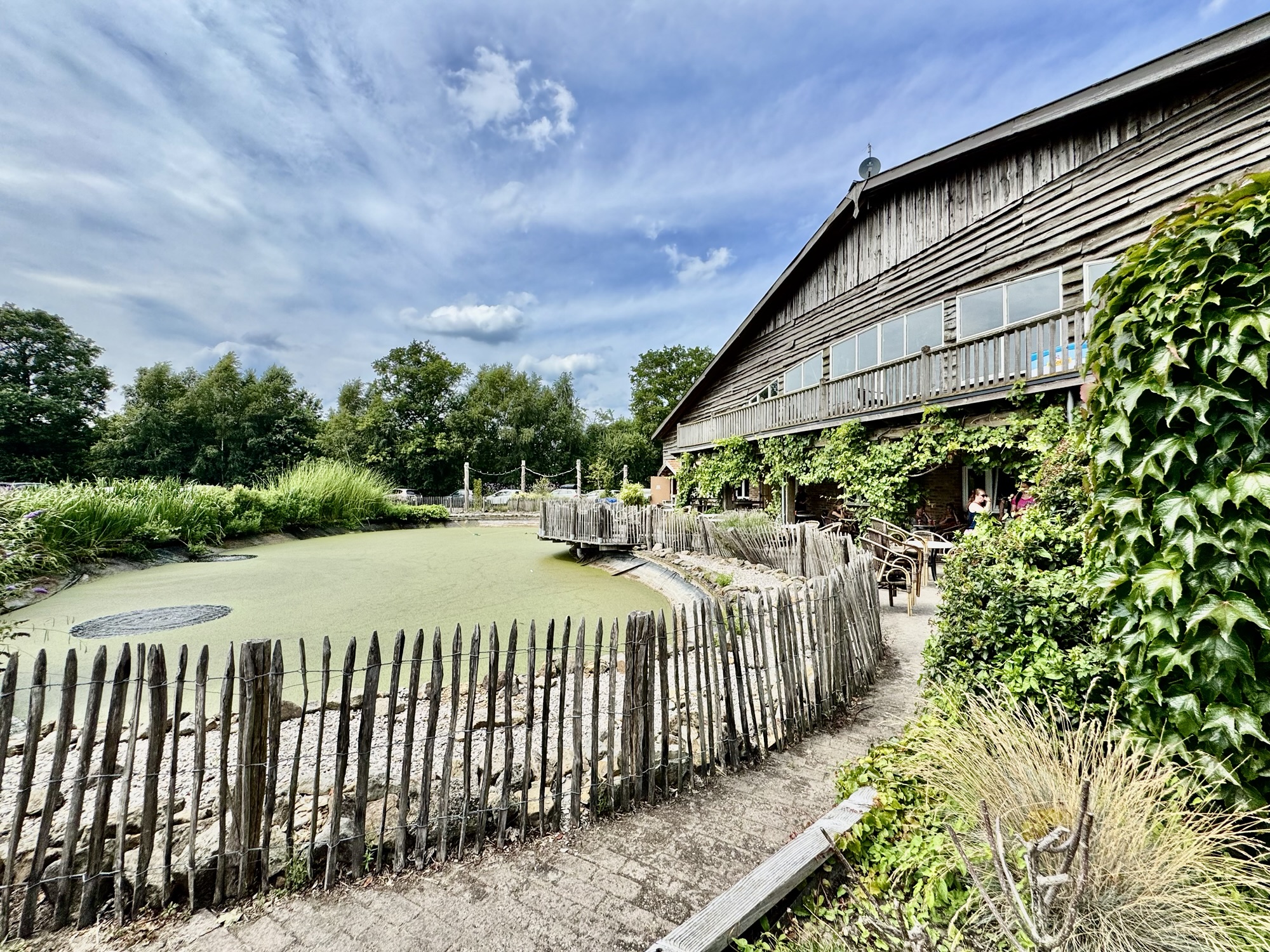 Ponykamp, survival kamp, Klein oever, Balkbrug, zomerkamp voor kinderen, vakantieweek kinderen