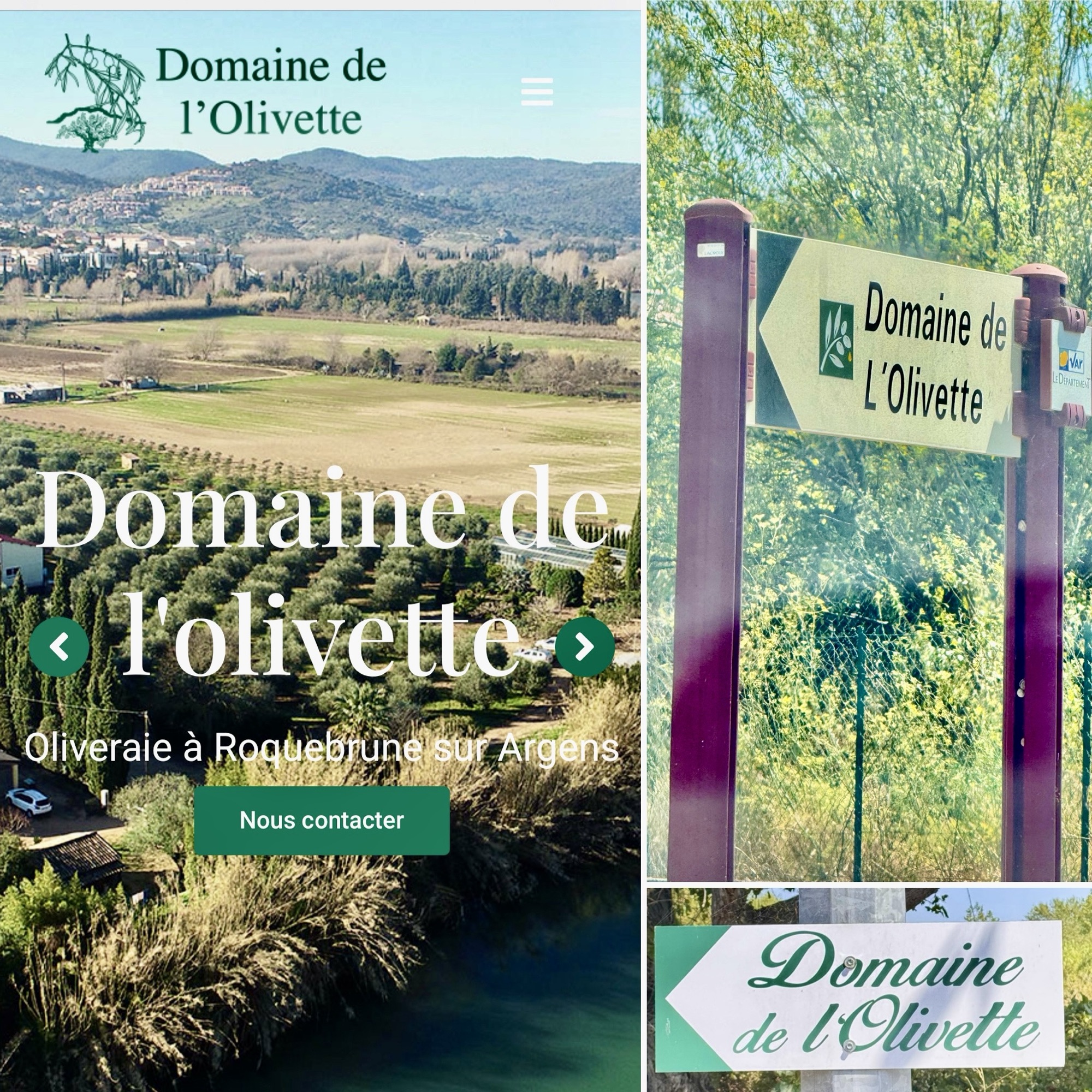 olivette