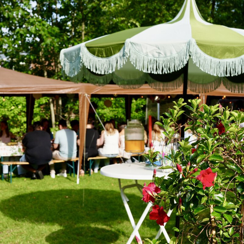 Tuinnieuws: zo maak je je tuin herfstklaar – laat die Indian Summer maar komen